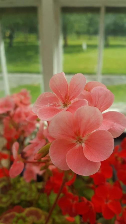 Gardenvale Manor House B&B Stranocum エクステリア 写真